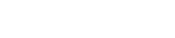 Seagull Group Advisor