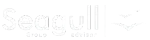 Seagull Group Advisor