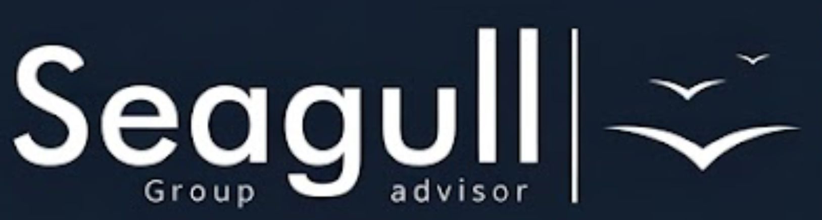 Seagull Group Advisor